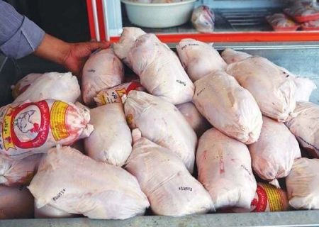 روزانه بیش از ۸۰ تن مرغ در استان زنجان توزیع و مصرف می‌شود