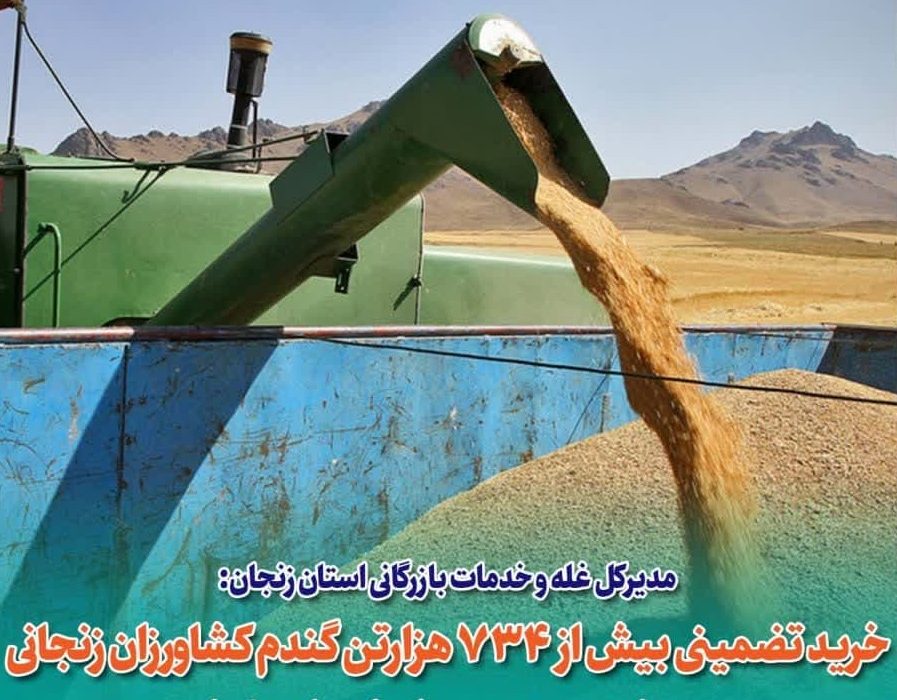 خرید تضمینی بیش از ۷۳۴ هزارتن گندم کشاورزان زنجانی