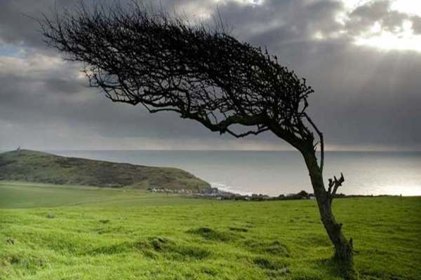 افزایش سرعت وزش باد در زنجان
