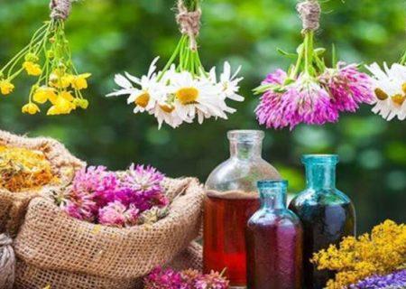 کشت گیاهان دارویی زمینه‌ساز ایجاد فرصت‌های شغلی